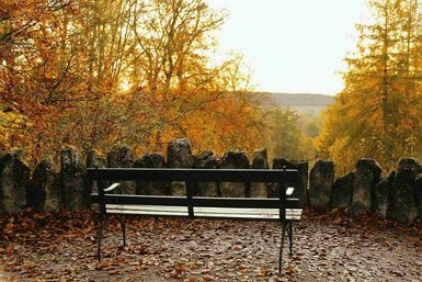 Bank an einem Aussichtspunkt, rechts und links Bäume mit herbstlich gefärbten Blättern