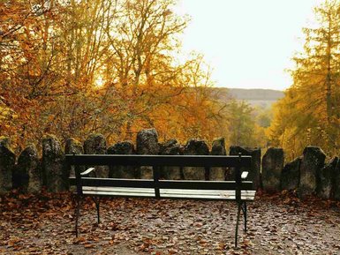 Bank an einem Aussichtspunkt, rechts und links Bäume mit herbstlich gefärbten Blättern
